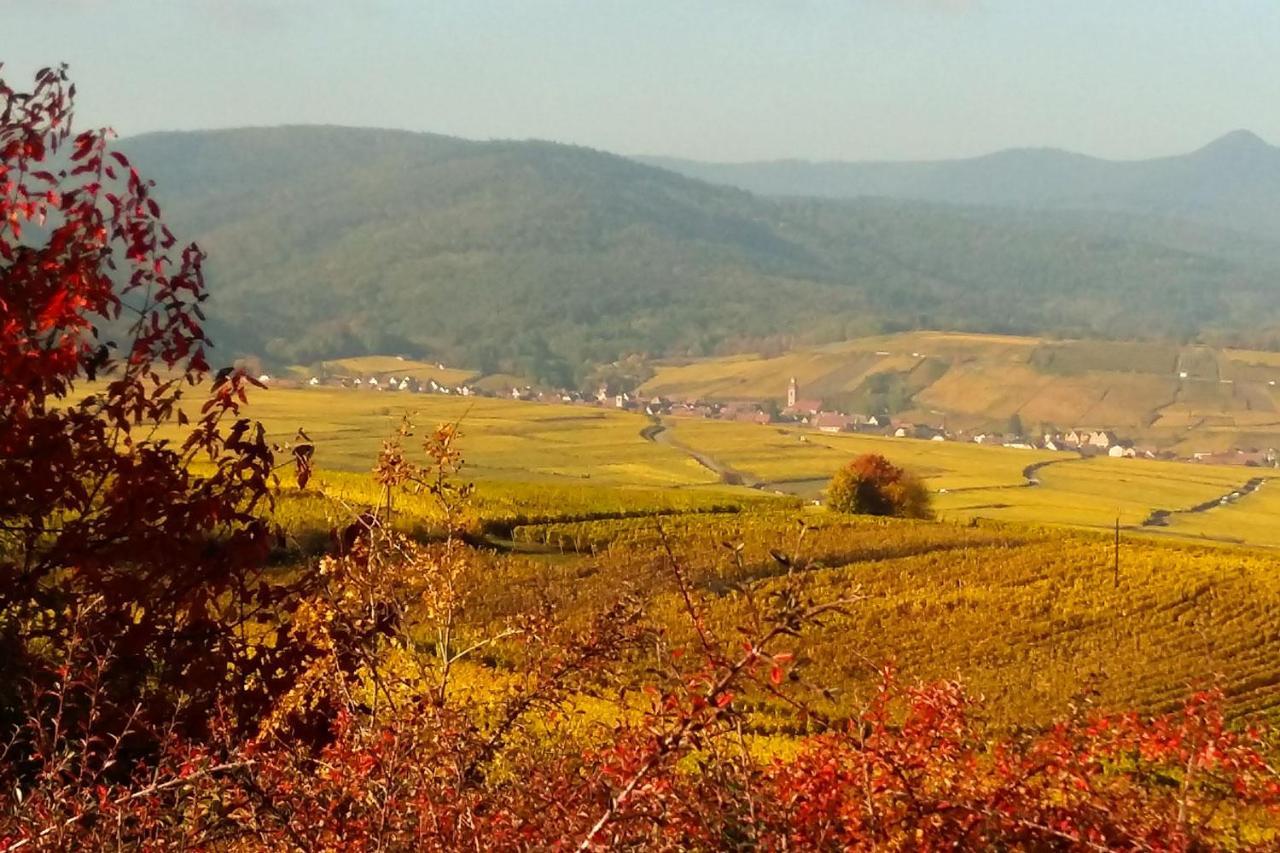 Au Coeur De L'Alsace - Gites Bennwihr 外观 照片